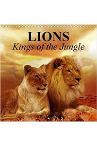 Lions Kings of the Jungle 2018