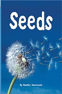Rigby Flying Colors: Leveled Reader Bookroom Package Green Seeds
