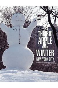 Big Apple In The Winter