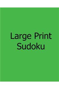 Large Print Sudoku - Moderate Puzzles