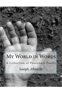 My World in Words