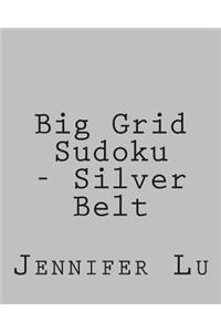 Big Grid Sudoku - Silver Belt