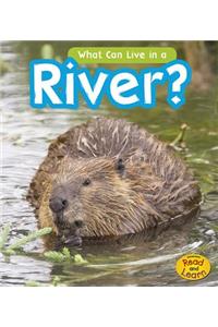 What Can Live in the River?