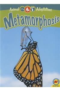 Metamorphosis