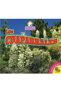 Chaparrales