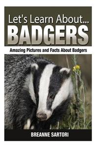 Badgers: Amazing Pictures and Facts about Badgers