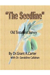 "The Seedline": Old Testament Survey