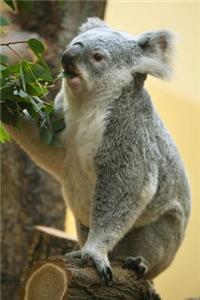 Koala Eating Eucalyptus Leaves Journal