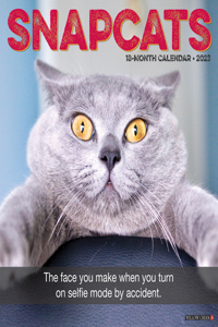 Snapcats 2023 Wall Calendar