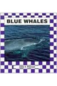 Blue Whales