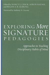 Exploring More Signature Pedagogies