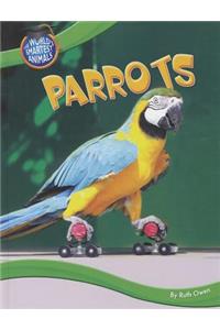 Parrots