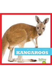 Kangaroos