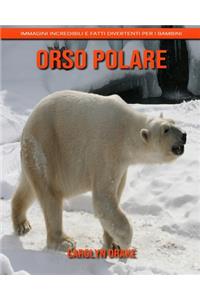 Orso polare