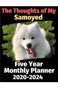 The Thoughts of My Samoyed