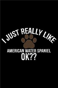 I Just Really Like American Water Spaniel Ok?