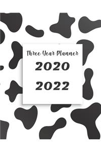 2020-2022 Three Year Planner