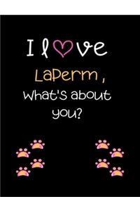 I love Laperm, What's about you?