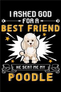 I Asked God For A Best Friend He Sent Me My Poodle