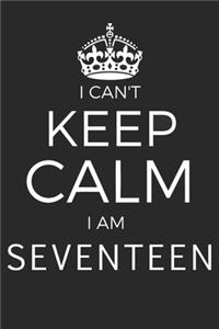 I Can't Keep Calm I'm Seventeen