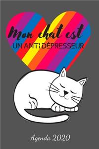 Mon chat est un antidépresseur