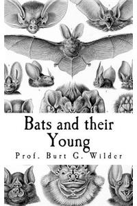 Bats and their Young