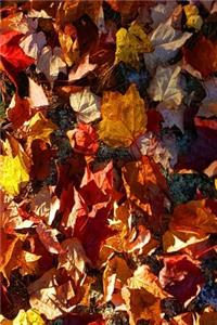 Fall 2019 Weekly Planner Pretty Autumn Leaves 134 Pages