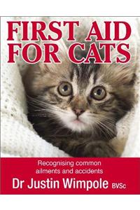 First Aid for Cats: Recognising Common Ailments and Accidents