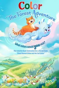 Color the Forest Adventure