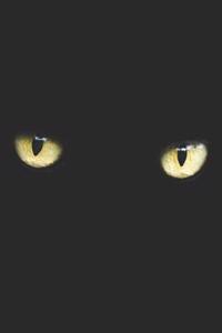 Cat Notebook