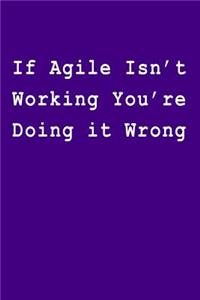 If Agile Isn't Working You're Doing It Wrong