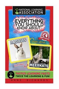 Everything You Should Know About