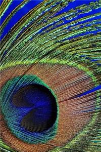 Peacock Feather Notebook