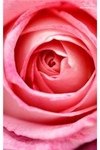 Rose Mini Notebook