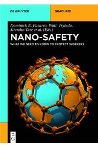 Nano-Safety