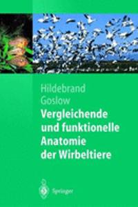 Vergleichende Und Funktionelle Anatomie Der Wirbeltiere: Aus Dem Amerikanischaen Ubersetzt Und Uberarbeitet Von Claudia Distler