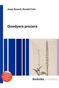 Goodyera Procera