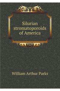 Silurian Stromatoporoids of America