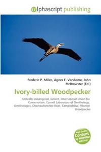 Ivory-Billed Woodpecker