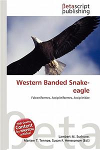 Western Banded Snake-Eagle