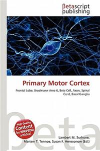 Primary Motor Cortex