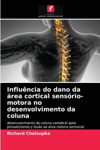 Influência do dano da área cortical sensório-motora no desenvolvimento da coluna