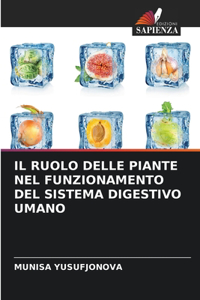 Il Ruolo Delle Piante Nel Funzionamento del Sistema Digestivo Umano