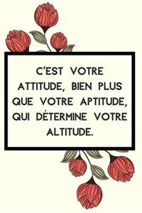 C'est votre attitude, bien plus que votre aptitude, qui détermine votre altitude