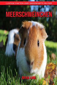 Meerschweinchen