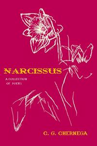 Narcissus