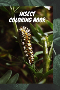 Insect coloring book