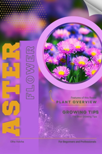Aster