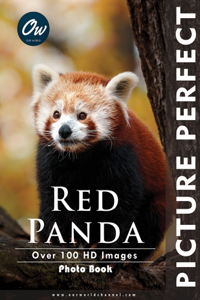 Red Panda: Picture Perfect Photo Book