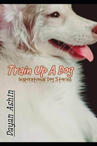 Train Up A Dog